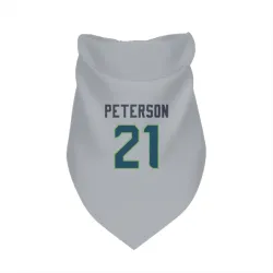 Seattle Seahawks Adrian Peterson Gray Pet Bandana for Dog & Cat