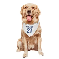 Seattle Seahawks Adrian Peterson White Pet Bandana for Dog & Cat