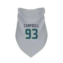 Seattle Seahawks Anthony Campbell Gray Pet Bandana for Dog & Cat