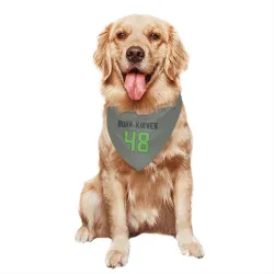 Seattle Seahawks Ben Burr-Kirven Gray Neon Green Pet Bandana for Dog & Cat