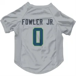 Seattle Seahawks Dante Fowler Jr. Gray Pet Jersey for Dog & Cat