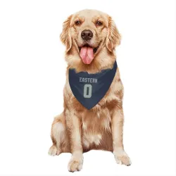 Seattle Seahawks Deven Eastern Navy Pet Bandana for Dog & Cat