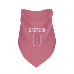 Seattle Seahawks Deven Eastern Pink Pet Bandana for Dog & Cat