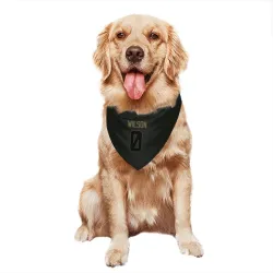 Seattle Seahawks Emanuel Wilson Black Service Pet Bandana for Dog & Cat