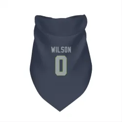 Seattle Seahawks Emanuel Wilson Navy Pet Bandana for Dog & Cat