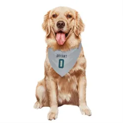 Seattle Seahawks Harrison Bryant Gray Pet Bandana for Dog & Cat