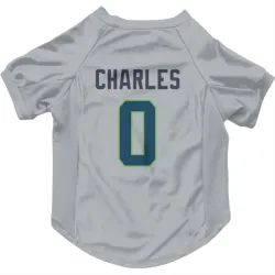 Seattle Seahawks Irvin Charles Gray Pet Jersey for Dog & Cat
