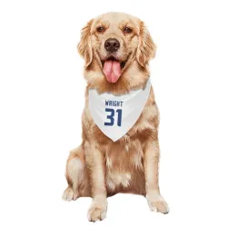 Seattle Seahawks Jacardia Wright White Pet Bandana for Dog & Cat