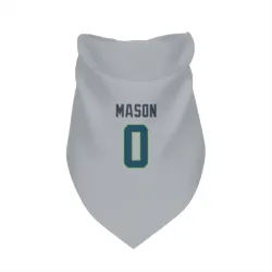 Seattle Seahawks Lance Mason Gray Pet Bandana for Dog & Cat