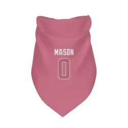 Seattle Seahawks Lance Mason Pink Pet Bandana for Dog & Cat