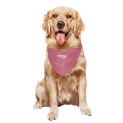 Seattle Seahawks Lance Mason Pink Pet Bandana for Dog & Cat