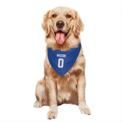 Seattle Seahawks Lance Mason Royal Pet Bandana for Dog & Cat