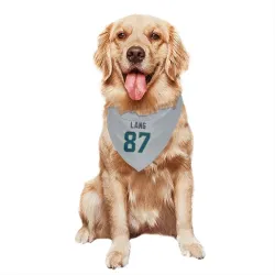 Seattle Seahawks Marshall Lang Gray Pet Bandana for Dog & Cat