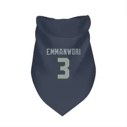 Seattle Seahawks Nick Emmanwori Navy Pet Bandana for Dog & Cat