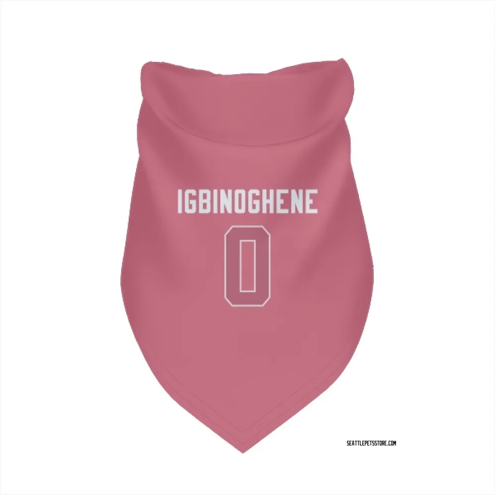 Seattle Seahawks Noah Igbinoghene Pink Pet Bandana for Dog & Cat