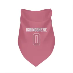 Seattle Seahawks Noah Igbinoghene Pink Pet Bandana for Dog & Cat