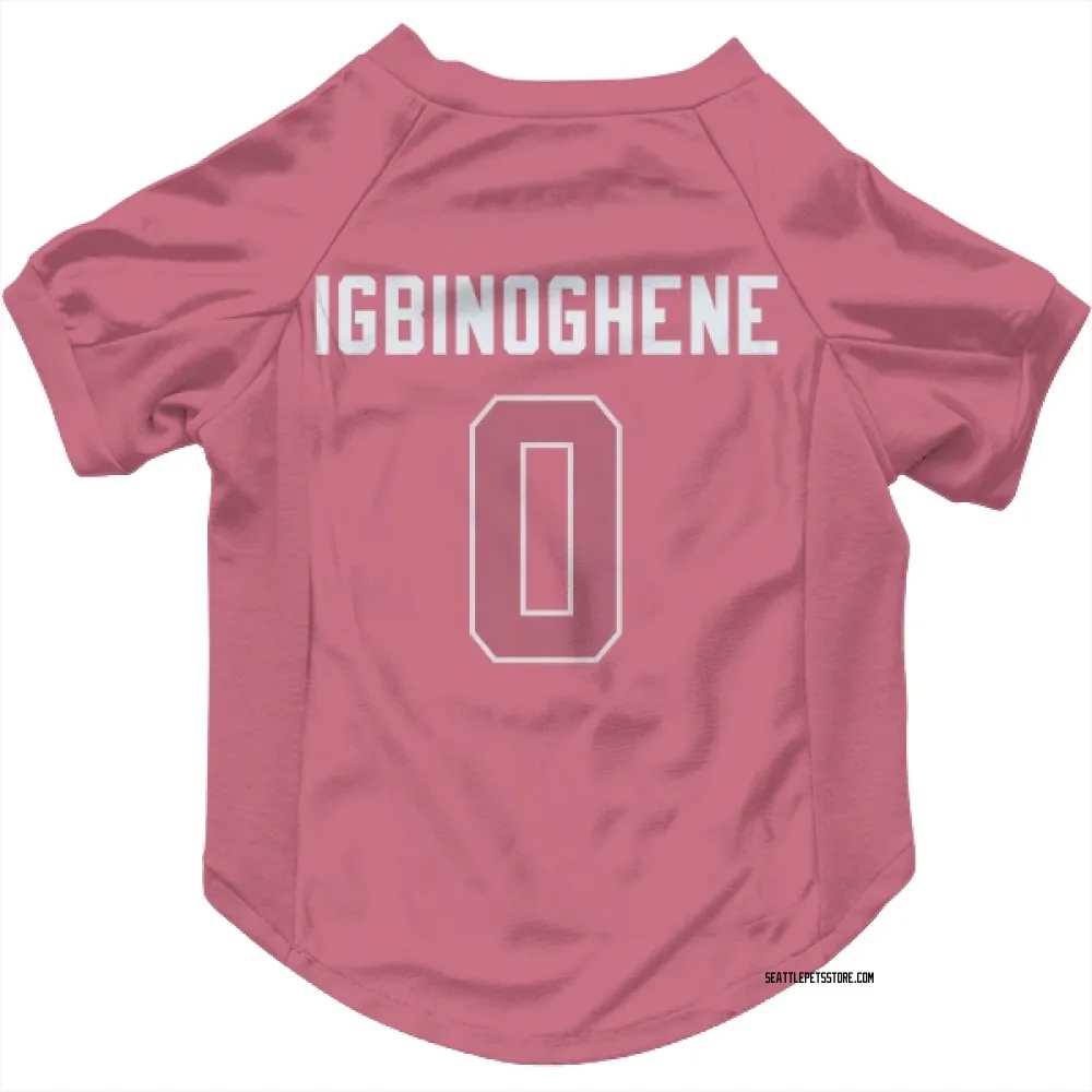 Seattle Seahawks Noah Igbinoghene Pink Pet Jersey for Dog & Cat