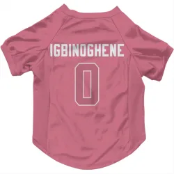 Seattle Seahawks Noah Igbinoghene Pink Pet Jersey for Dog & Cat