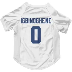 Seattle Seahawks Noah Igbinoghene White Pet Jersey for Dog & Cat